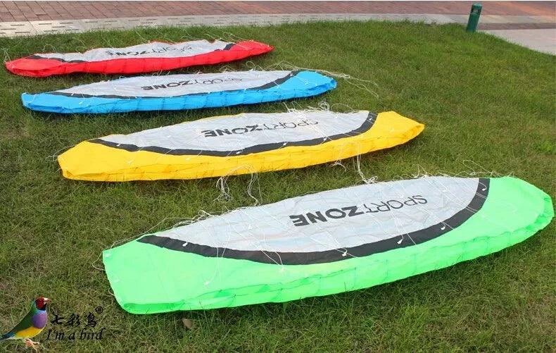 High Quality 2.5m Dual Line 4 Colors Parafoil Parachute Sports Beach Kite Easy to Fly Factory Outlet - NTKSTORE