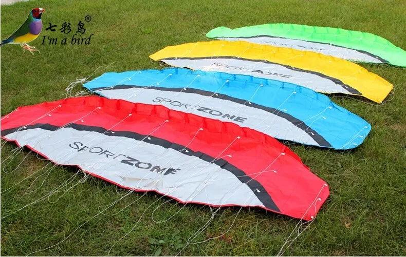 High Quality 2.5m Dual Line 4 Colors Parafoil Parachute Sports Beach Kite Easy to Fly Factory Outlet - NTKSTORE