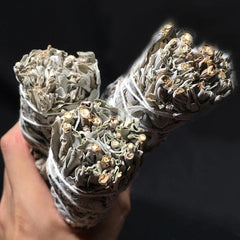 Natural White Sage Bundles Smudge Sticks Indoor Purification Smoking Aroma Leaf Bundle Sage Smudge Sticks for Home Cleansing - NTKSTORE