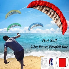 High Quality 2.5m Dual Line 4 Colors Parafoil Parachute Sports Beach Kite Easy to Fly Factory Outlet - NTKSTORE