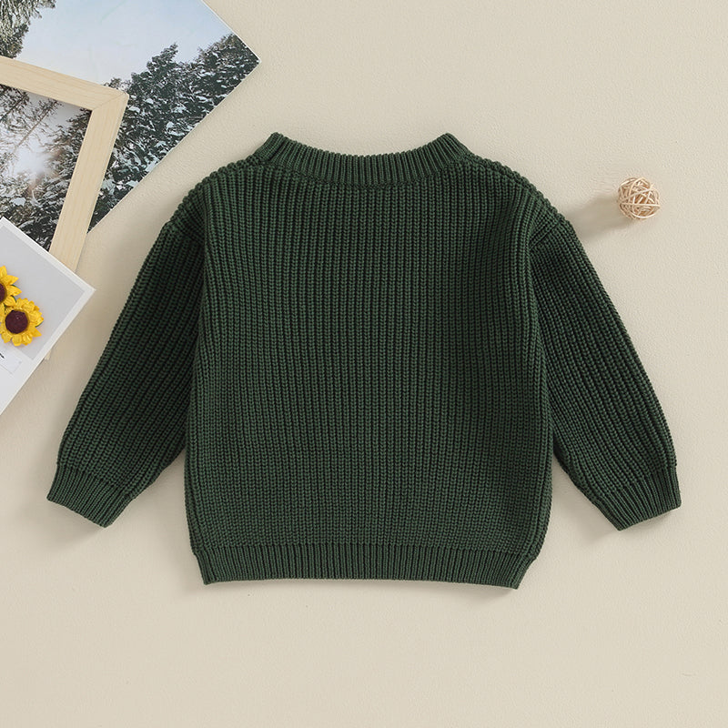 Baby Boys Girls Warm Sweaters Knitted Loose O-neck Pullover Knitwear Sweaters Tops 0-5Y - NTKSTORE