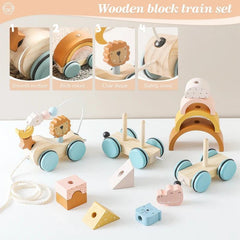 Baby Wooden Trailer Car Toys Rainbow Stacking Balance Blocks Animal Traction Car Star Moon Slider Beads For Kids Montessori Toys - NTKSTORE