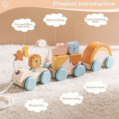 Baby Wooden Trailer Car Toys Rainbow Stacking Balance Blocks Animal Traction Car Star Moon Slider Beads For Kids Montessori Toys - NTKSTORE