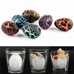 10pcs/set Magic Dinosaur Eggs Hatching in Water Growing Dinosaur Egg Animal Breeding Educational Toys for Children Kids Gifts - NTKSTORE