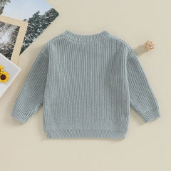 Baby Boys Girls Warm Sweaters Knitted Loose O-neck Pullover Knitwear Sweaters Tops 0-5Y - NTKSTORE